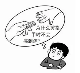 关于身体的奥秘