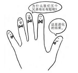 关于身体的奥秘