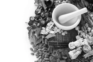 杜甫与茯苓