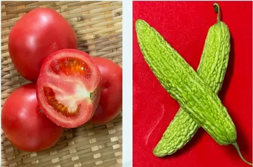 中医药摄影交流活动：夏④2