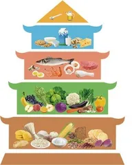 读懂食养指南,慢病科学调养1