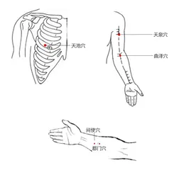 秋意惹人悲，一起拍打心包经吧！