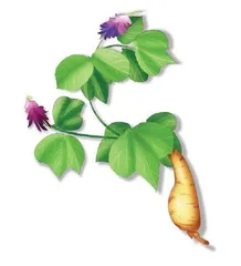 每逢佳节勿贪杯1