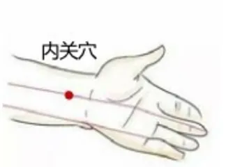 立夏之计,以指代针护心阳2