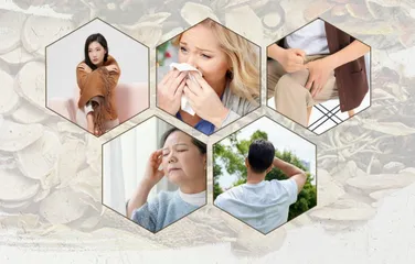 《伤寒杂病论》：方书之祖，承上启下