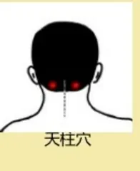 石学敏:“形神共养”促健康2