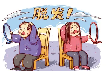 脱发的“幕后黑手”——雄激素