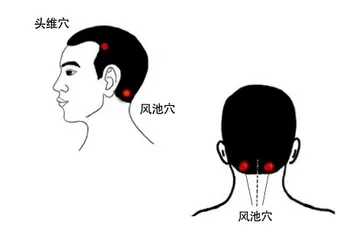 脱发的“幕后黑手”——雄激素1
