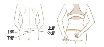 久坐拍拍臀,别让臀肌失了忆2