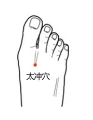 五个小穴位,春季护肝大用途2