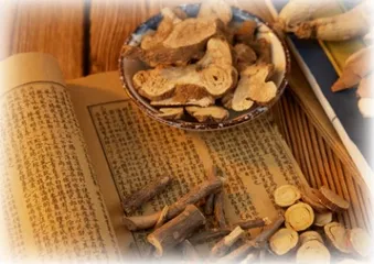 道之所存,师之所存也1