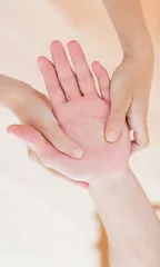 “手握”养生秘籍,“掌控”全身健康1