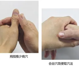“手握”养生秘籍,“掌控”全身健康4