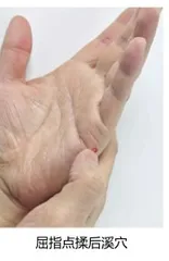 “手握”养生秘籍,“掌控”全身健康6