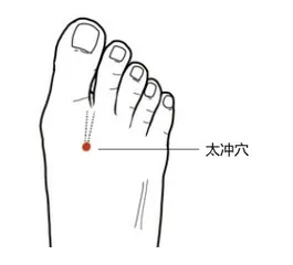 万物逢春生,避外感、存正气3