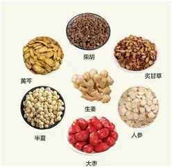 桂枝汤