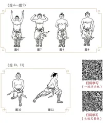 “卧虎扑食”畅肝气1