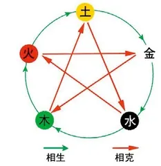 五脏藏五行，细分阴和阳