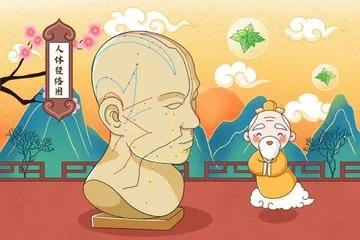 五脏藏五行,细分阴和阳2