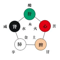 食物也分阴阳,你吃对了吗?1