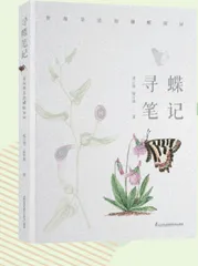寻蝶笔记：发现身边的蝴蝶家园