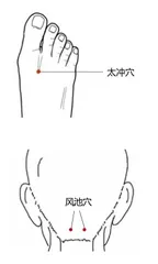 清明谷雨天，疏肝健脾度“尾春”
