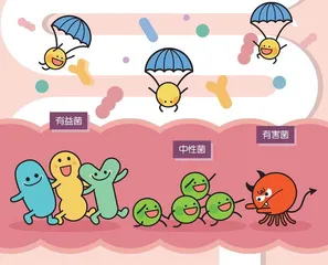 充斥肠道的“小细菌”