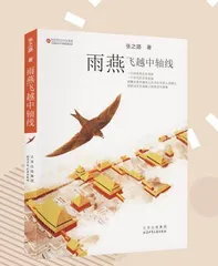雨燕飞越中轴线