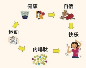 运动：让我们获得从身到心的成长
