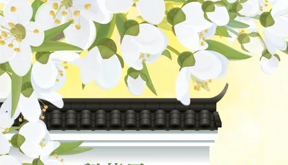 梨花思
