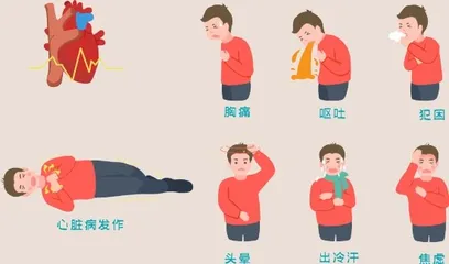 大学生心脏健康管理与急救技能1