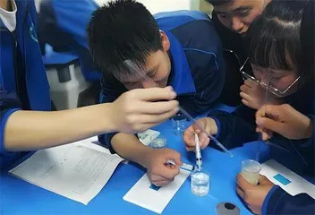 高中生物学教学中的可视化策略