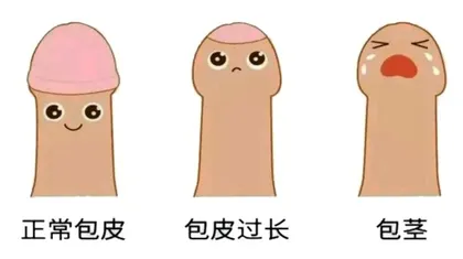 包皮过长或包茎应该怎么办？