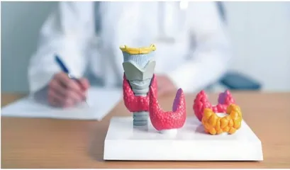 儿童甲状腺炎不容小觑1