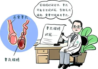 急性睾丸扭转如何预防和治疗