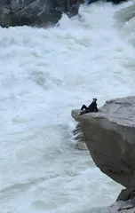 驾驭人生之舟穿越风浪1