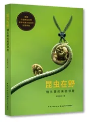 领略昆虫世界的美丽与玄妙