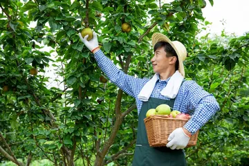 采一份诗意