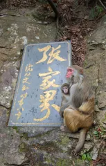 闪游张家界