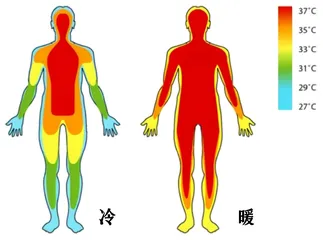 知晓“失温症”2