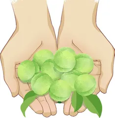 酸 梅