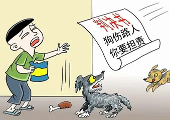 流浪动物伤人谁之过？