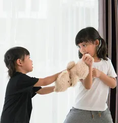 二胎家庭孩子间冲突的化解良策1