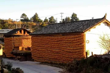 泥川河的秋色