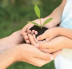家庭的功能 父母的责任1