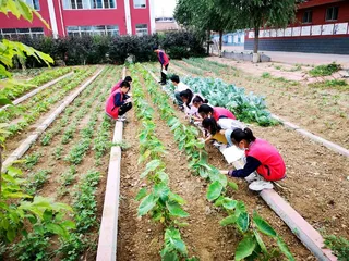 感受缤纷世界 共享劳动果实7