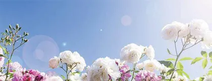 走出失恋的“心痛”1