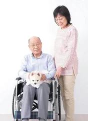 宠物疗愈的神奇力量1