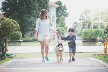 因宠知爱：浅谈宠物对心理健康的影响