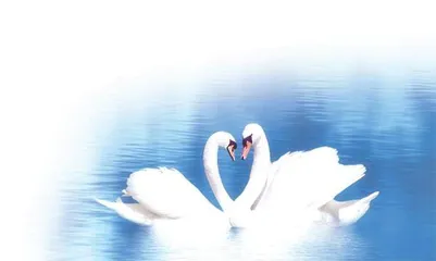 一生坎坷，都是“恋爱脑”惹的祸？